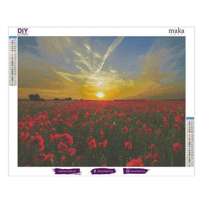 [DP] SUNSET IN THE FIELD 40X50 CM